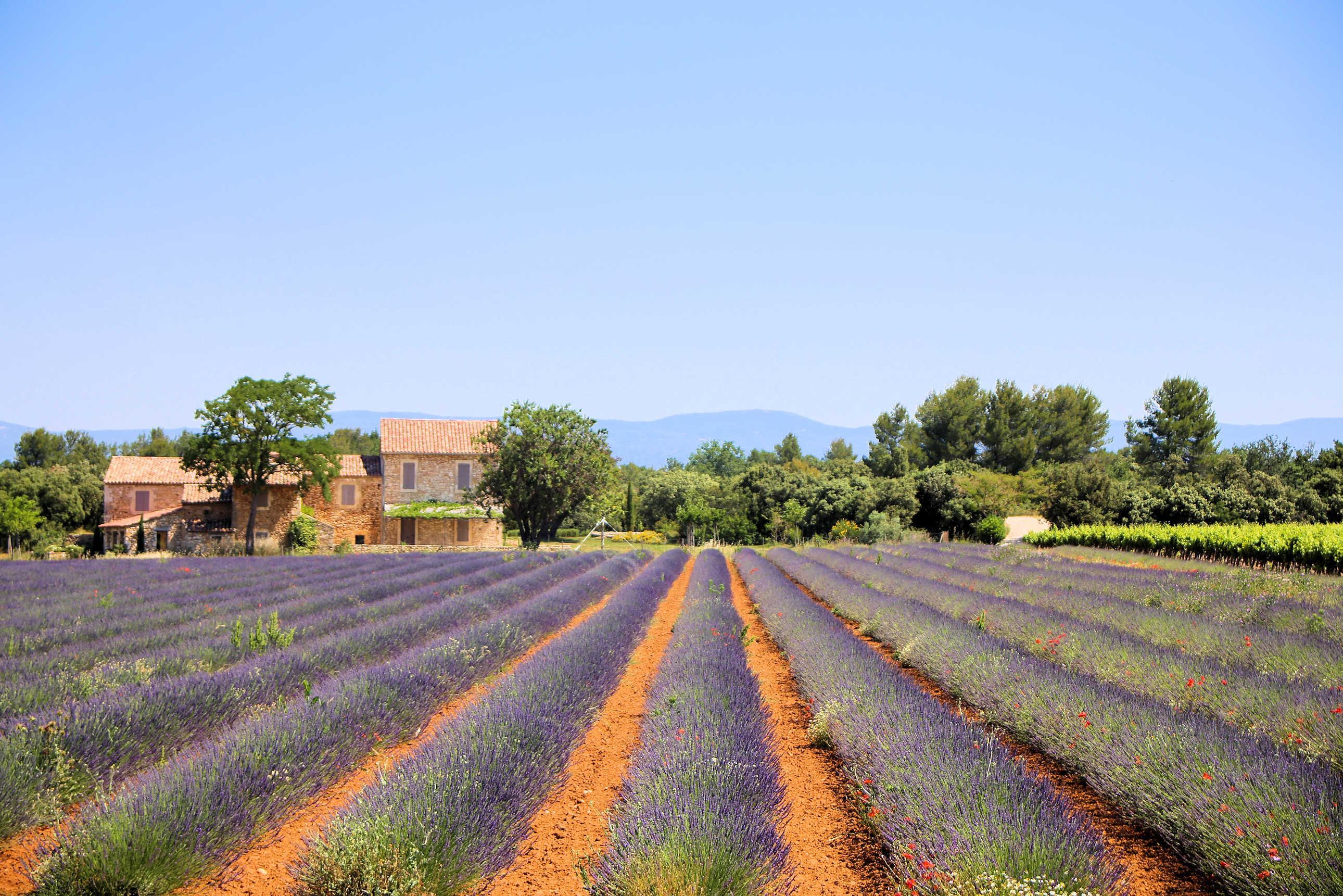 provence-holidays-2022