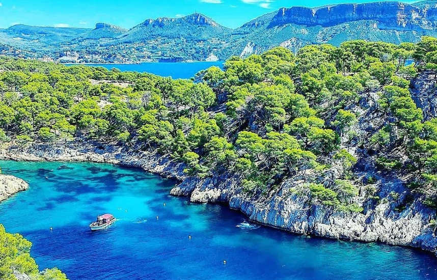 cassis