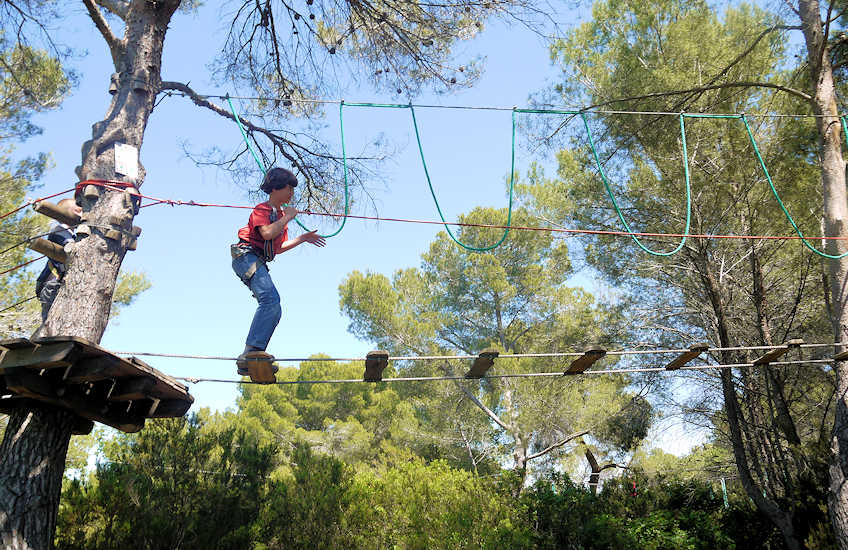 Tree climbing near me deals
