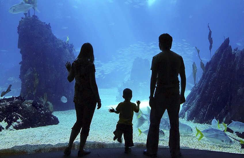 marineland