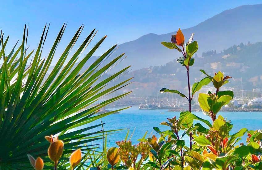 menton mediterranean gardens france2