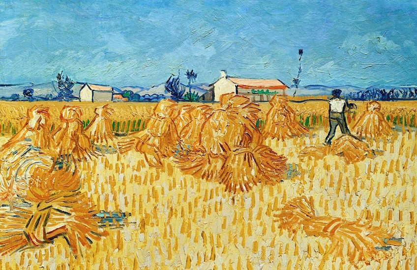 van gogh wheatfiled